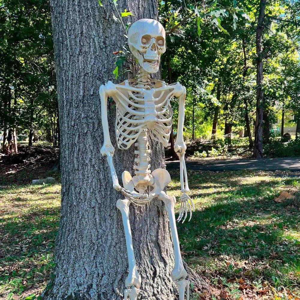 Halloween Decoration Posable Skeleton Yard Display Prop