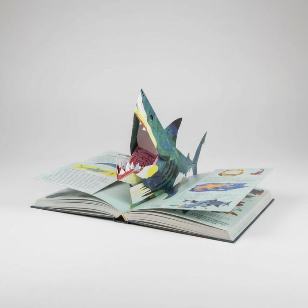 Pop Up Book Dinosaur 3D Interactive Storybook Kids